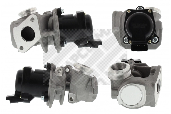EGR Valve