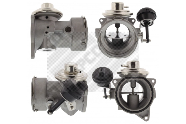 EGR Valve