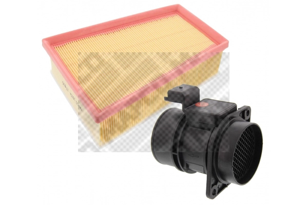 Mass Air Flow Sensor (42401/6)
