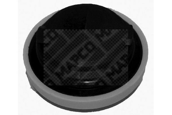 Sealing Cap, oil filler neck (79008)