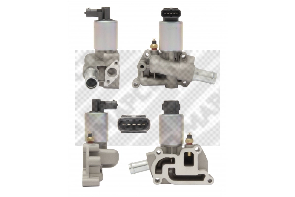 EGR Valve