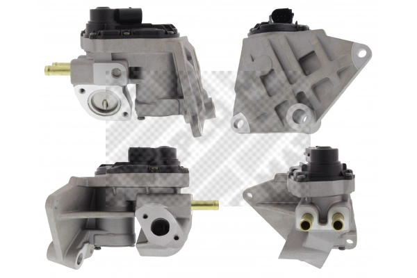 EGR Valve