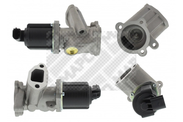 EGR Valve
