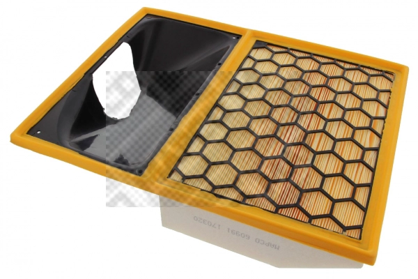 Air Filter (60991)