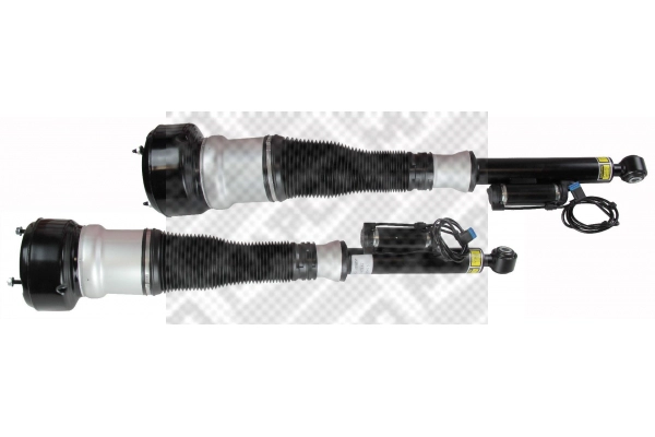 Air Suspension Strut (40873/4)