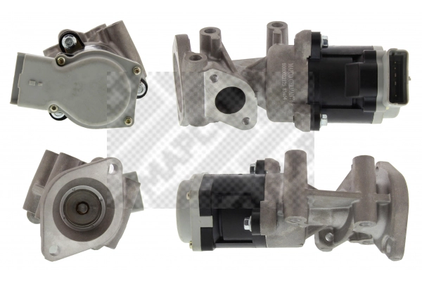 EGR Valve