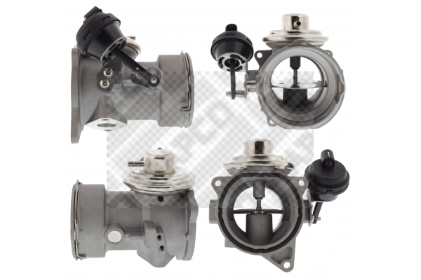 EGR Valve