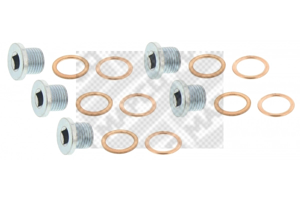 Screw Plug, oil sump (95938/5)