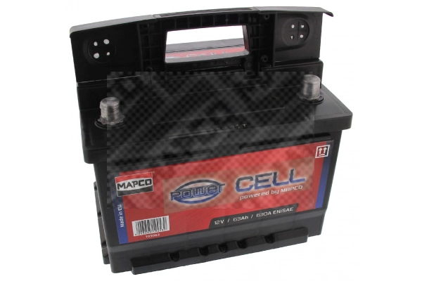 Starter Battery