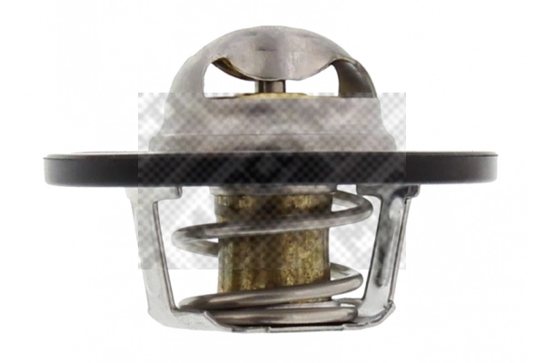 Thermostat, coolant (28807)