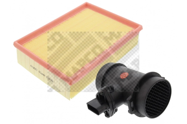 Mass Air Flow Sensor (42663/6)
