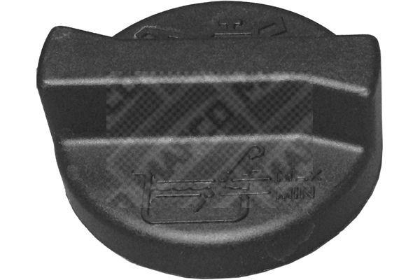 Sealing Cap, oil filler neck (79009)