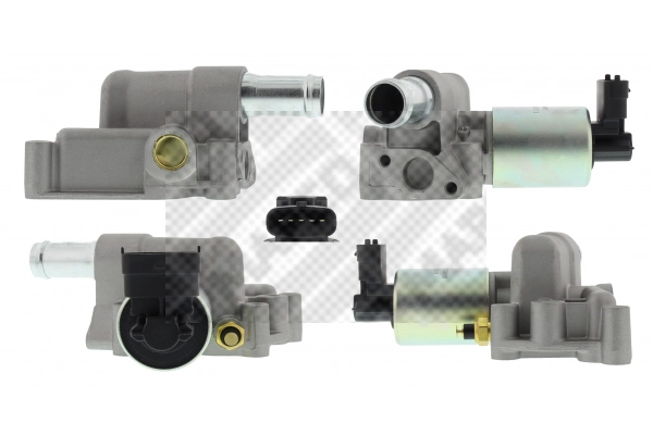 EGR Valve