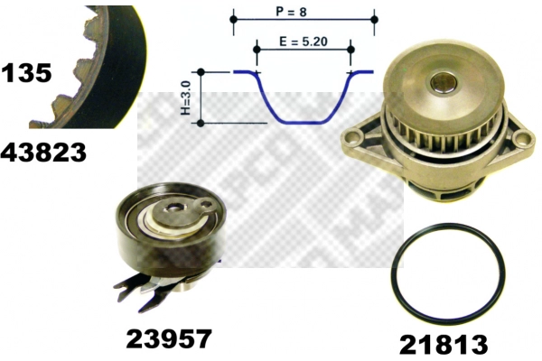 Water Pump & Timing Belt Kit (41823)