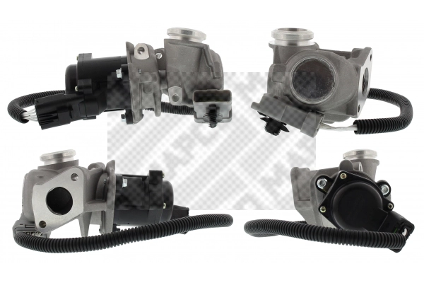EGR Valve