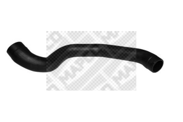 Charge Air Hose (39789)