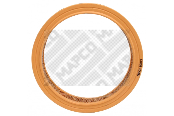 Air Filter (60013)