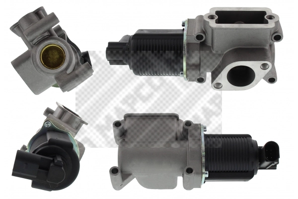 EGR Valve