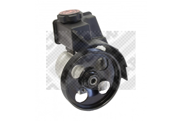 Hydraulic Pump, steering (27407)