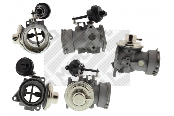 EGR Valve