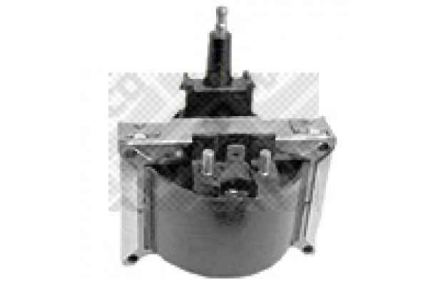 Ignition Coil (80100)