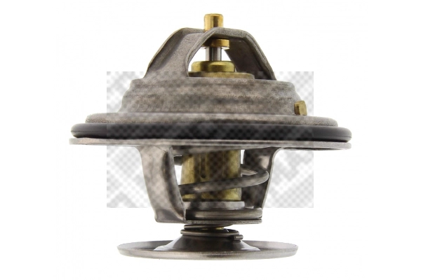 Thermostat, coolant (28852)
