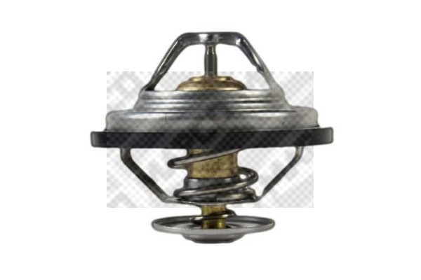 Thermostat, coolant (28066)