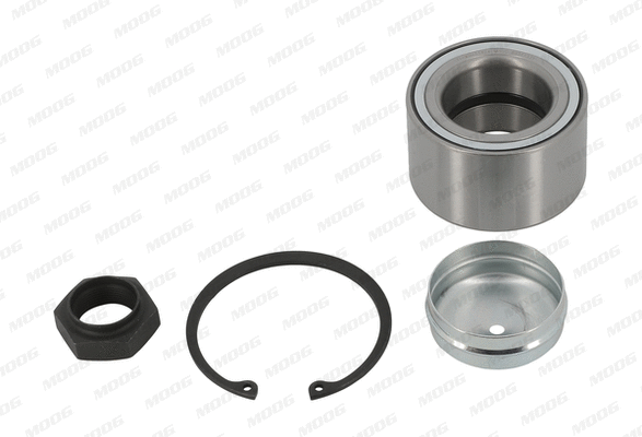 Wheel Bearing Kit (FI-WB-11424)