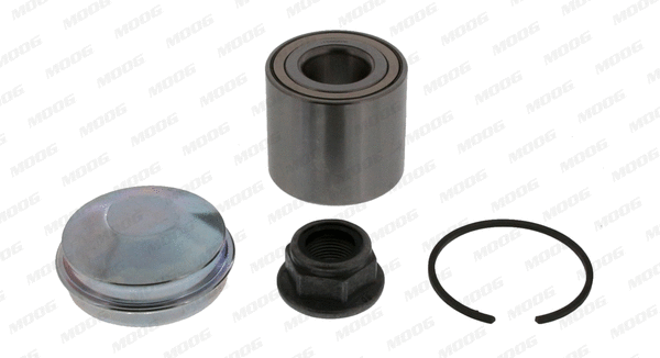 Wheel Bearing Kit (NI-WB-12822)