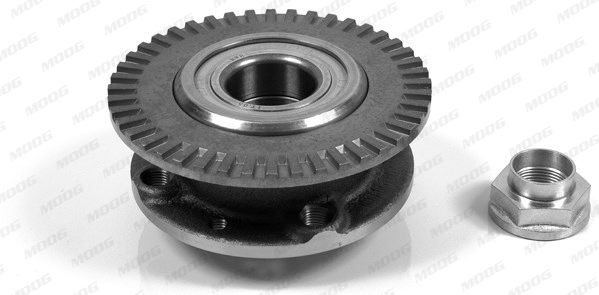 Wheel Bearing Kit (FI-WB-11593)