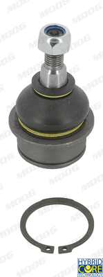 Ball Joint (FI-BJ-10935)