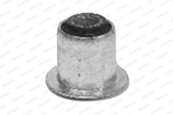 Bushing, leaf spring