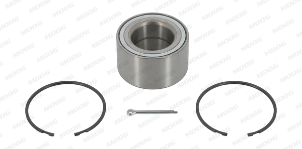 Wheel Bearing Kit (NI-WB-11984)