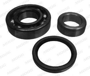Wheel Bearing Kit (DI-WB-11720)