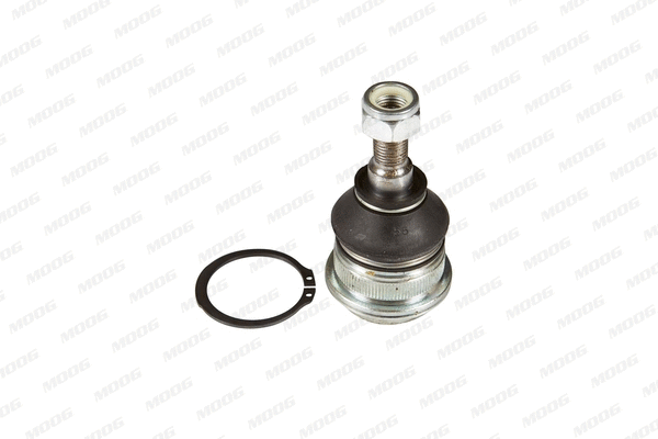 Ball Joint (MI-BJ-10348)