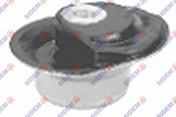 Bushing, axle beam (863119)