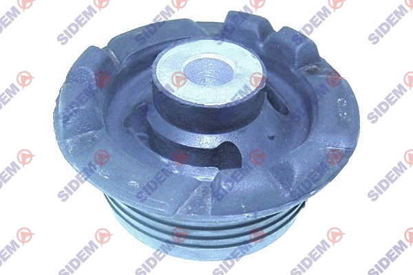 Bushing, axle beam (809636)