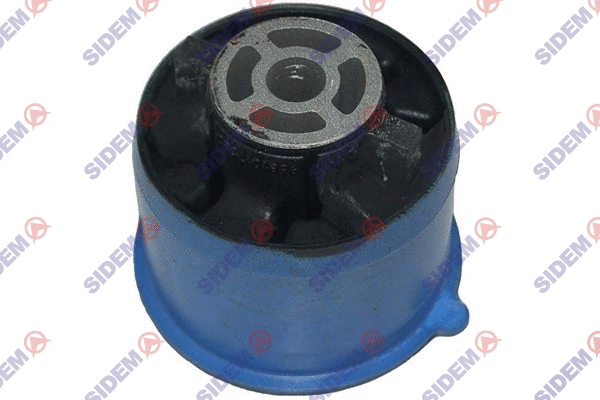 Bushing, axle beam (807301)