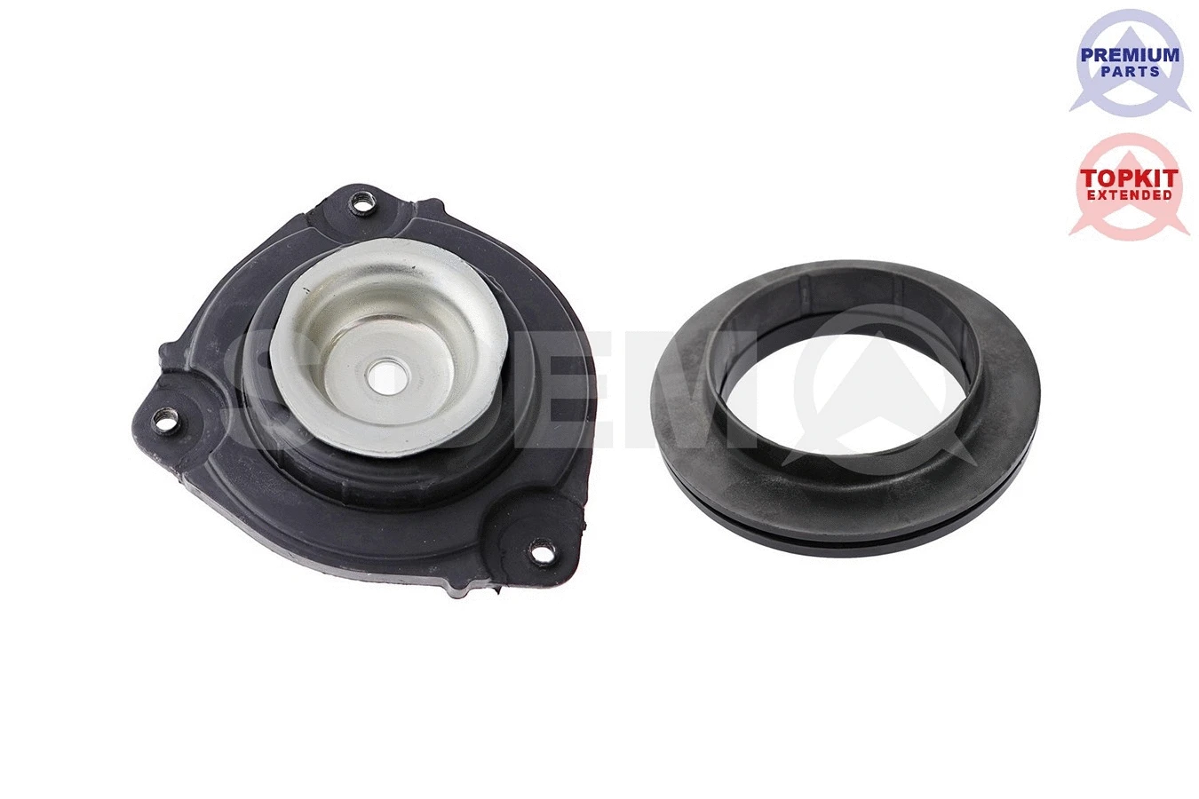 Repair Kit, suspension strut support mount (841431 KIT)