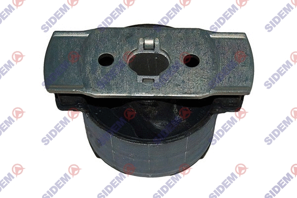 Bushing, axle beam (805308)
