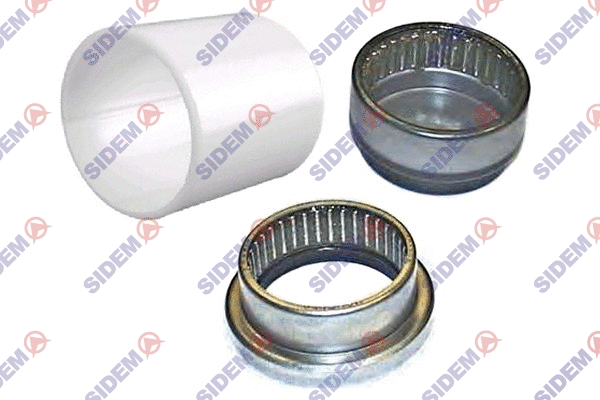 Repair Kit, wheel suspension (53000)