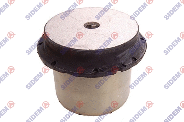 Bushing, axle beam (863724)