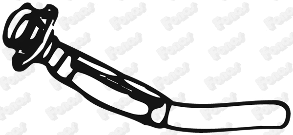 Exhaust Pipe (31348)