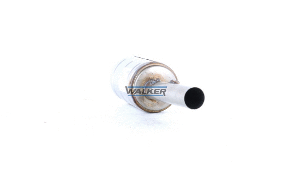 Soot/Particulate Filter, exhaust system (73016)