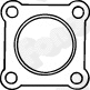 Gasket, exhaust pipe (80790)