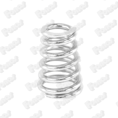 Spring, muffler