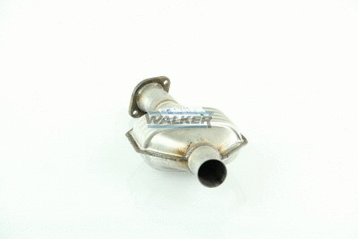 Catalytic Converter (20270)