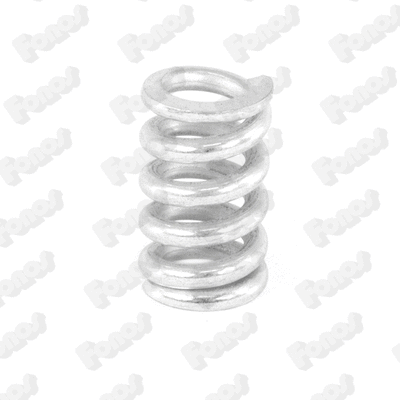 Spring, muffler