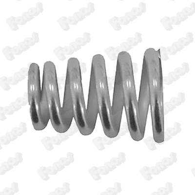 Spring, muffler