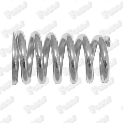 Spring, muffler